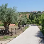 木屋 Casa Alfazema, Quinta Carmo - - Nazare 阿尔科巴萨