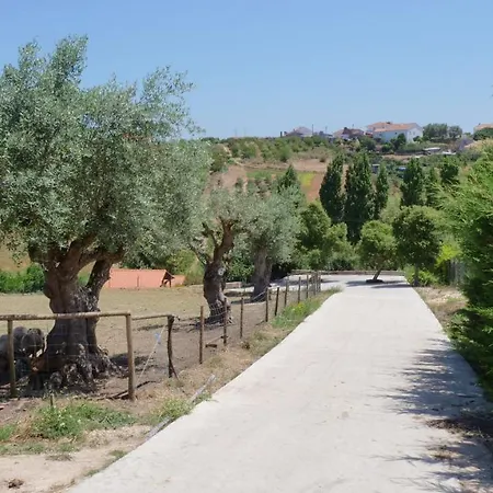 Domek alpejski Casa Alfazema, Quinta Carmo - - Nazare Alcobaça