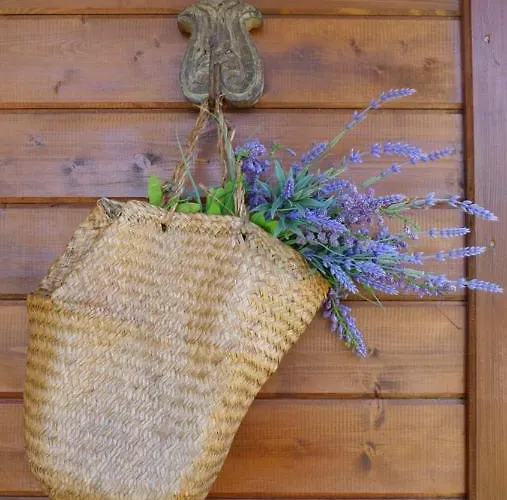 Casa Alfazema, Quinta Carmo - - Nazare