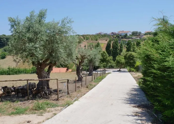 Chalet Casa Alfazema, Quinta Carmo - - Nazare Alcobaca
